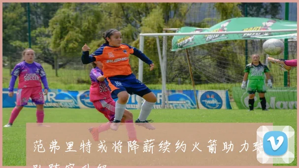 范弗里特或将降薪续约火箭助力球队阵容升级