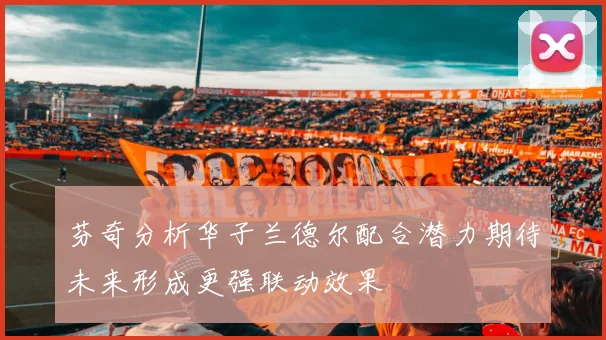 芬奇分析华子兰德尔配合潜力期待未来形成更强联动效果