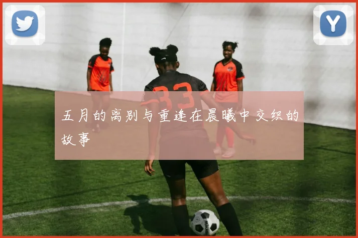 五月的离别与重逢在晨曦中交织的故事